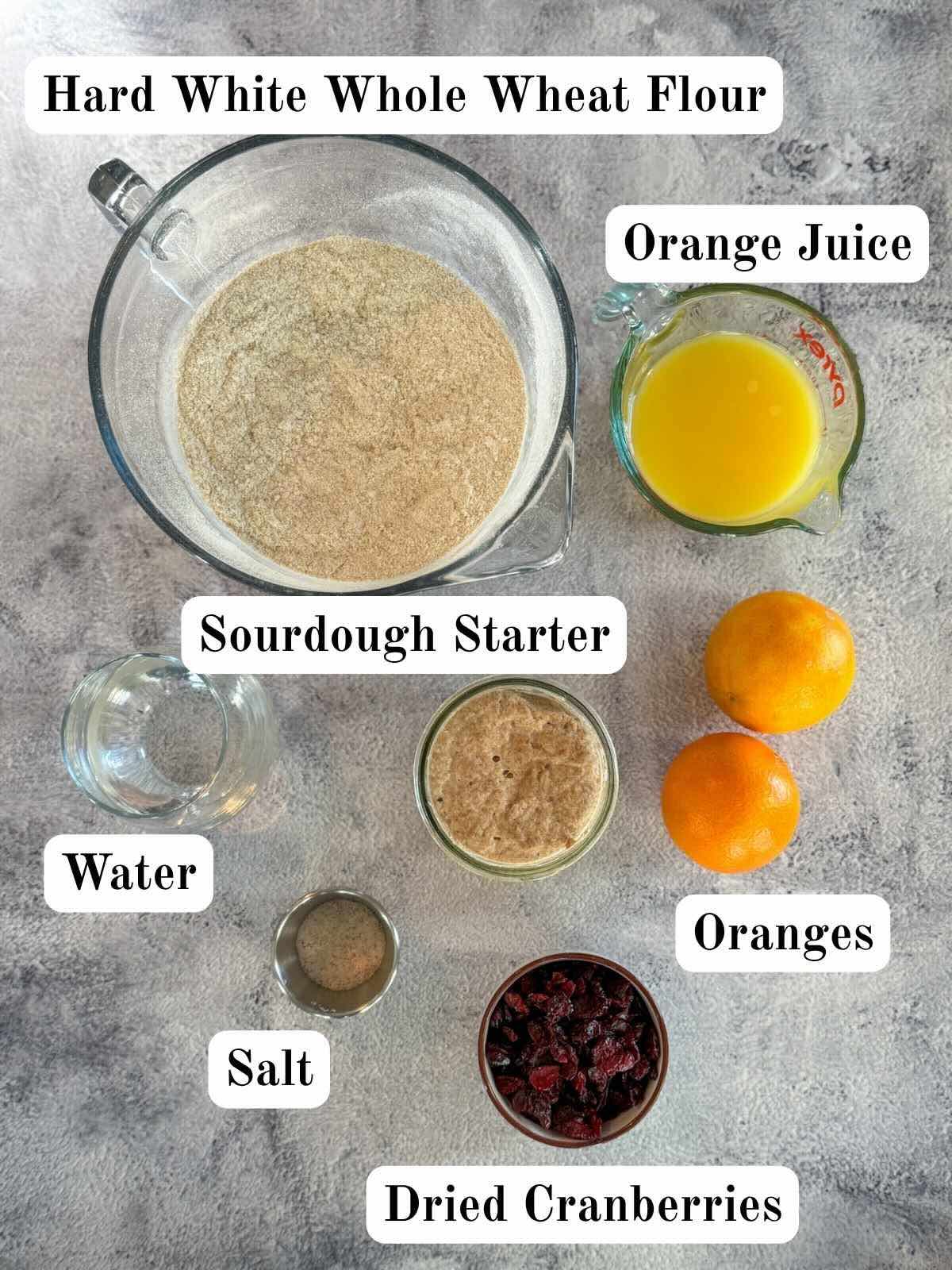 A bowl of flour, glasses of orange juice, sourdough starter, and water, salt, dried cranberries, and oranges on a gray background.
