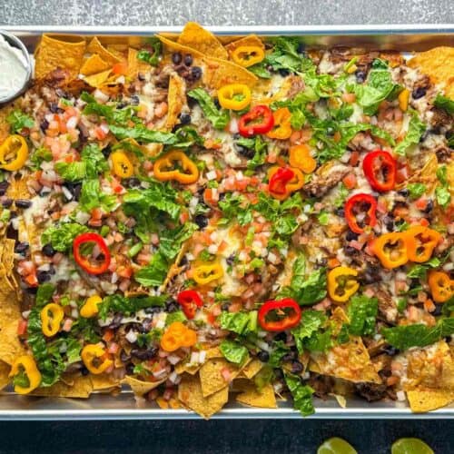overhead horizontal view of birria nachos and toppings