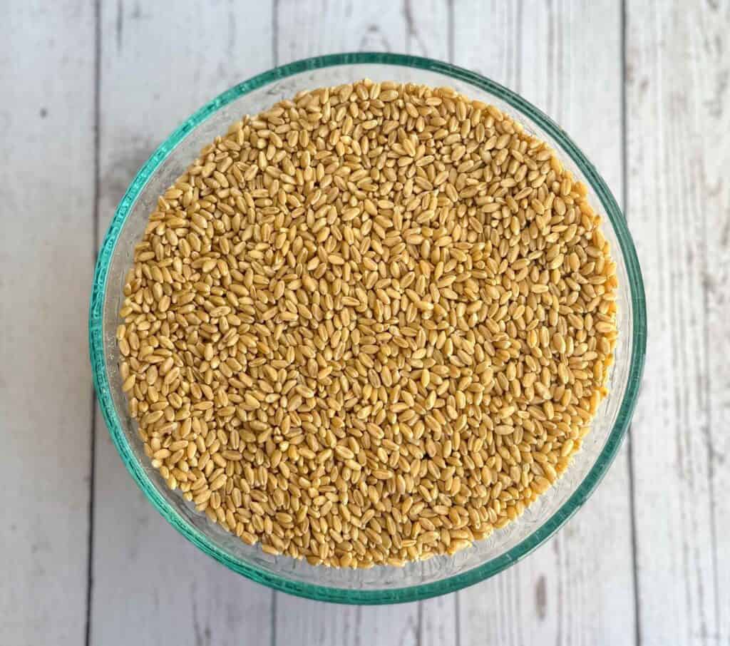 Easy Fresh Milled Wheat Bread Recipe 100 Whole Wheat The Sweet