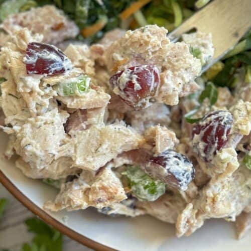 chicken salad with bite on fork.