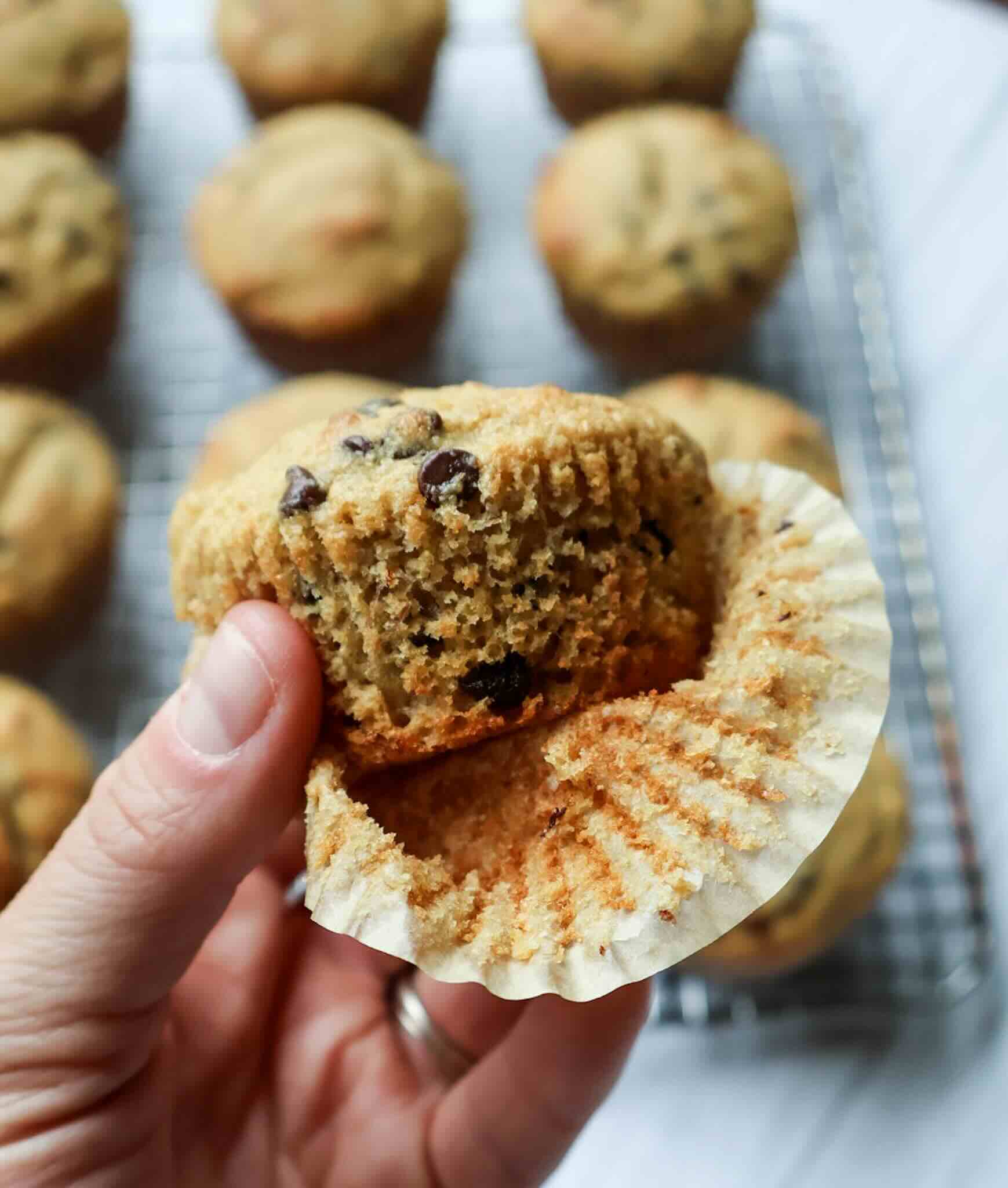 A half unwrapped whole wheat banana muffin with chocolate chips being held over the cooling rack.